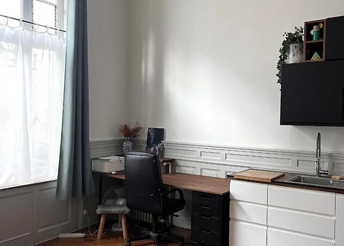 Appartement Typique Lillois *
