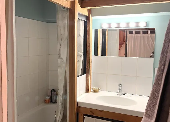 Typique Lillois Appartement