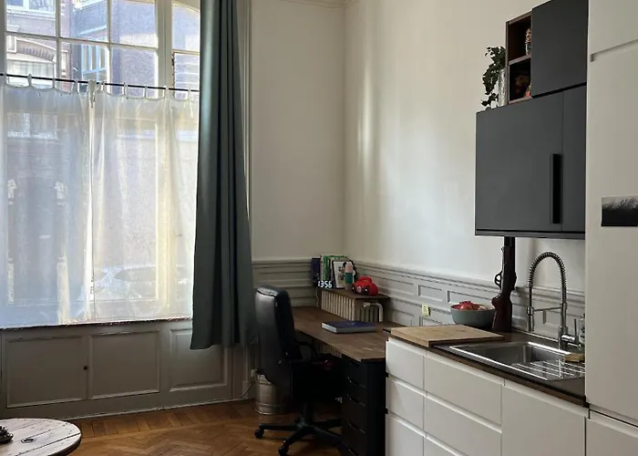 Appartement Typique Lillois *